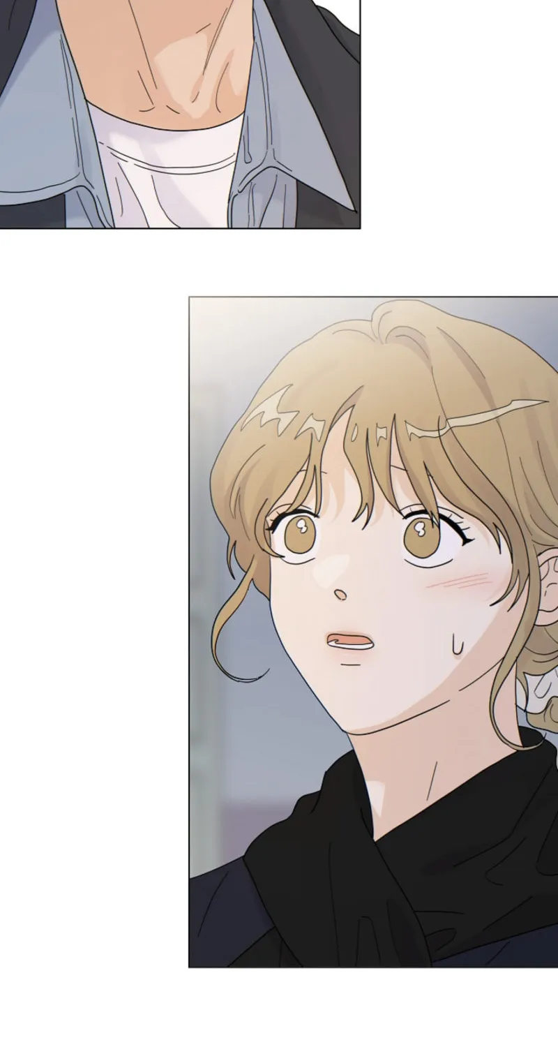The tiger next door Chapter 11 page 2 - 