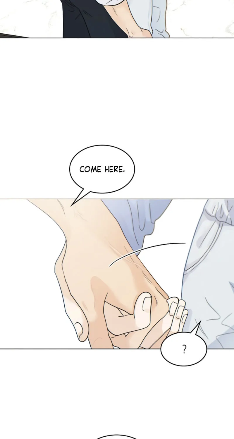 The tiger next door Chapter 12 page 32 - 
