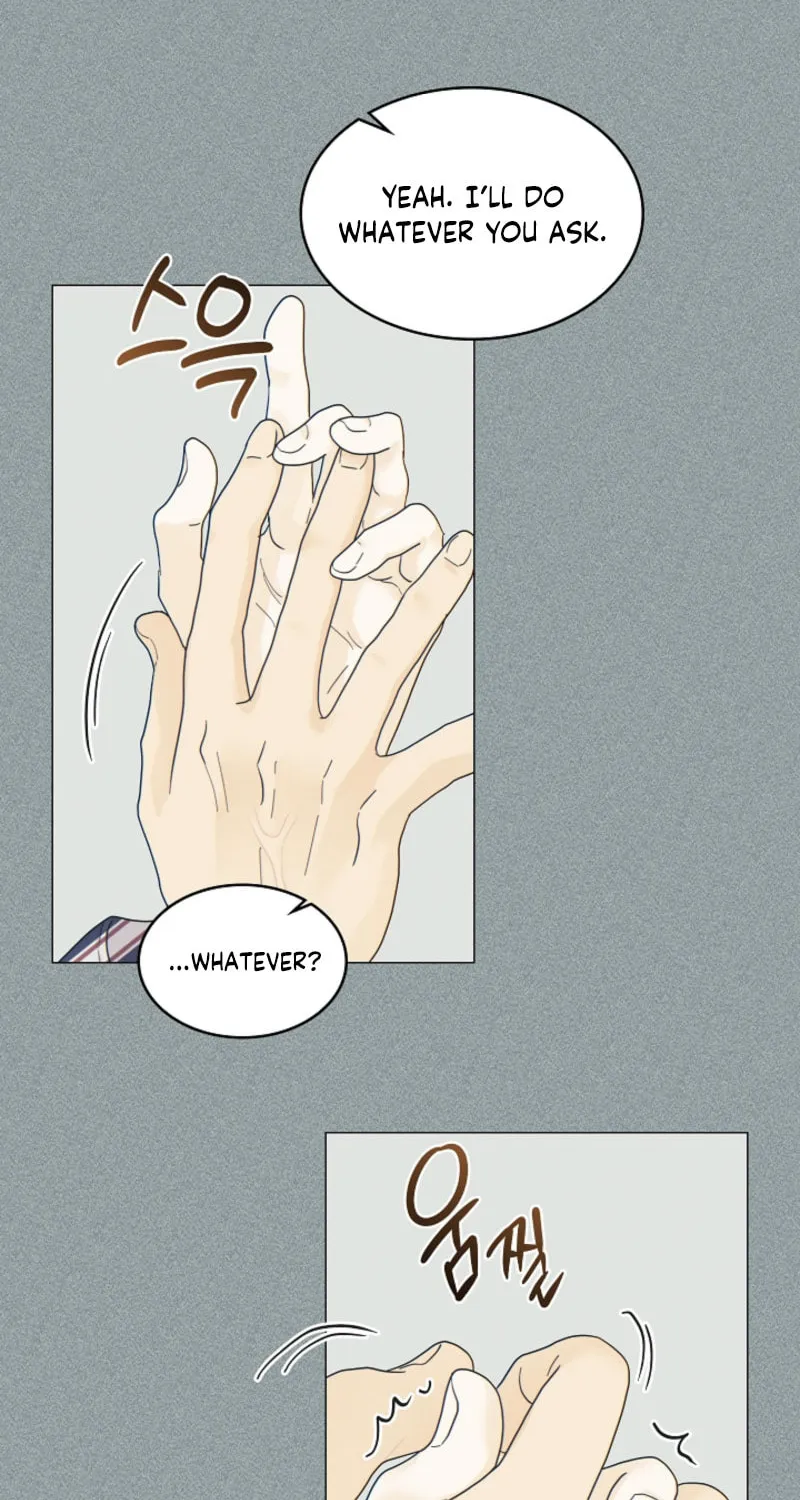 The tiger next door Chapter 12 page 6 - 