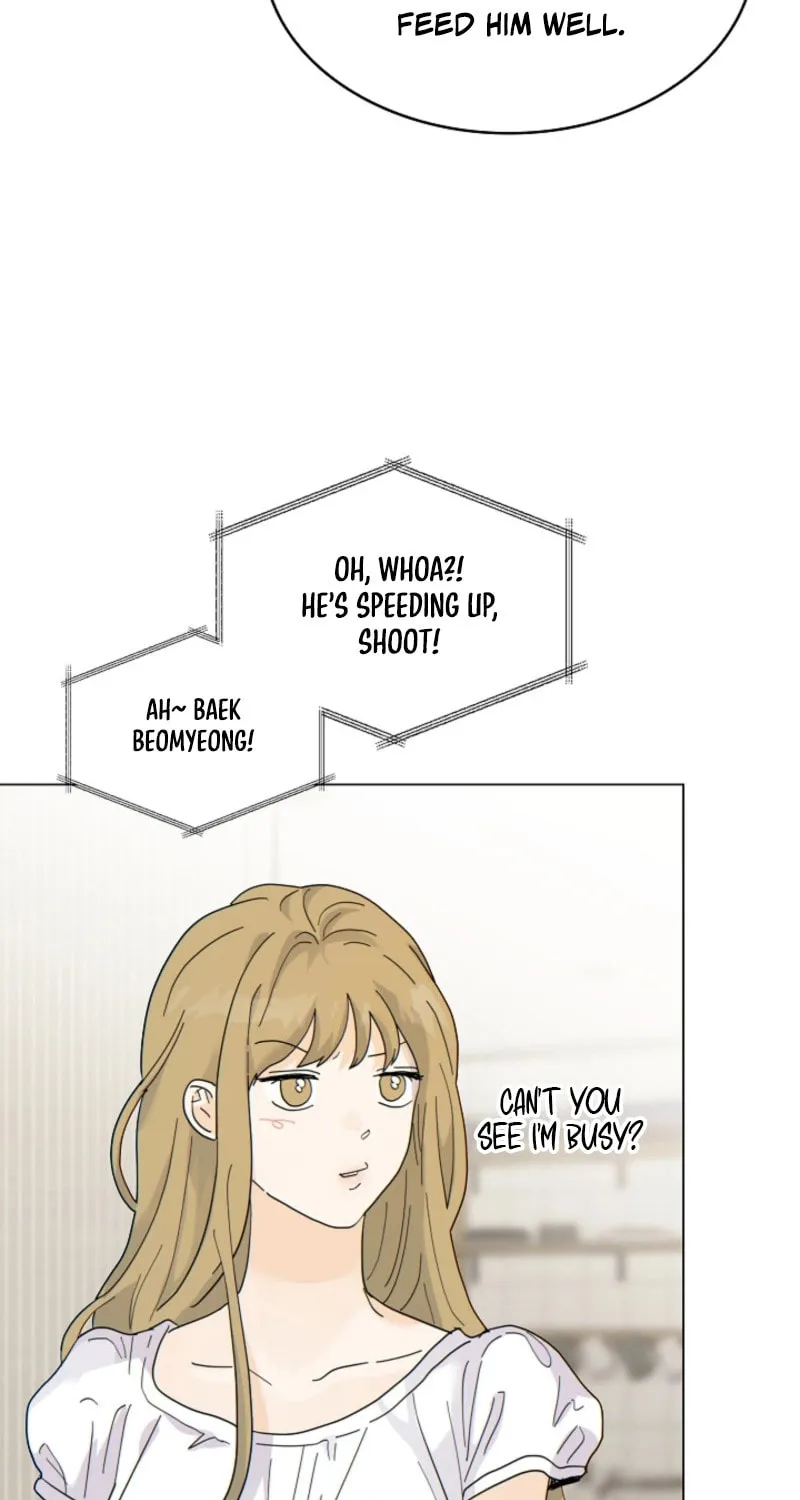 The tiger next door Chapter 16 page 7 - 