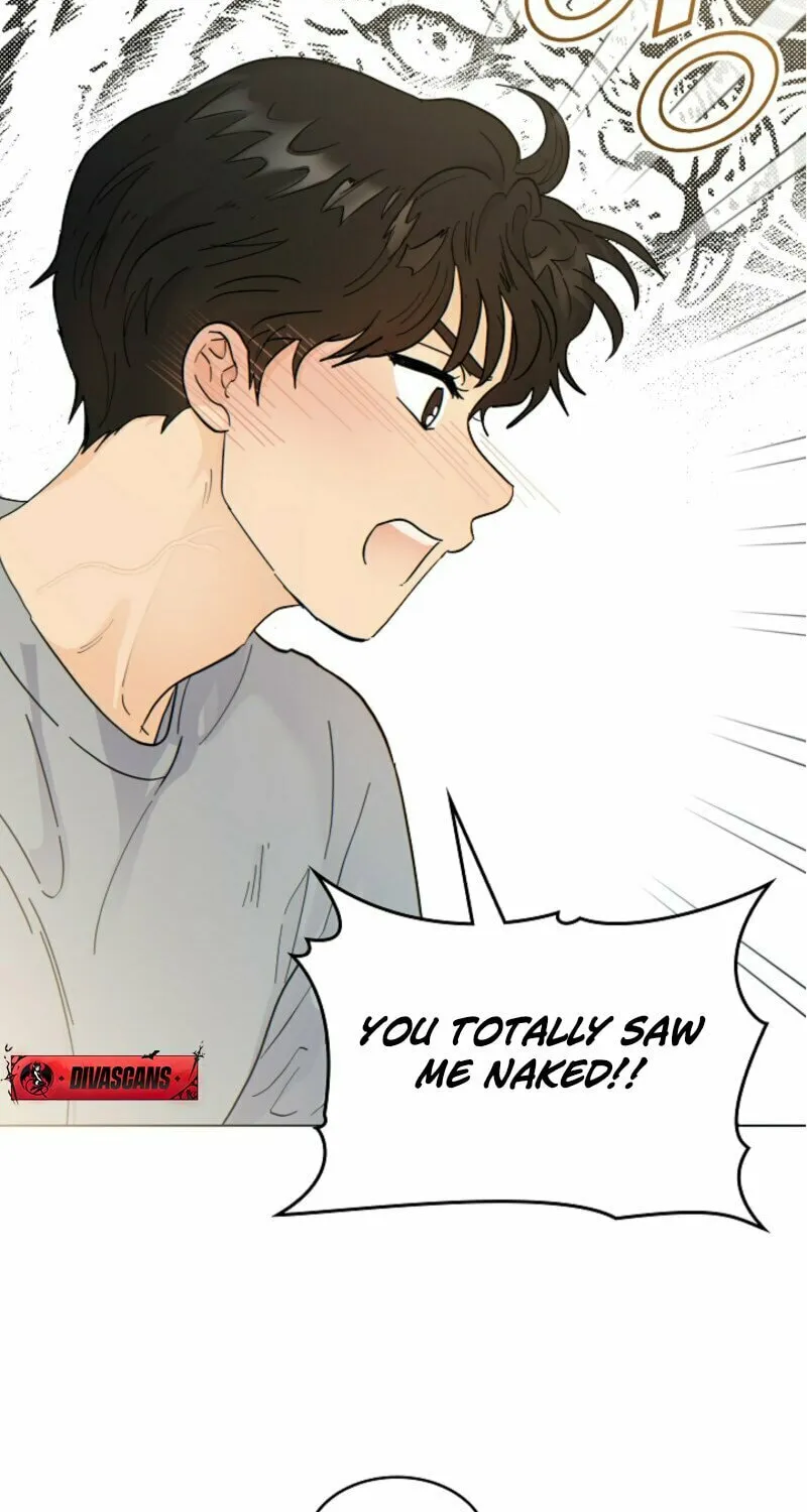 The tiger next door Chapter 2 page 17 - 