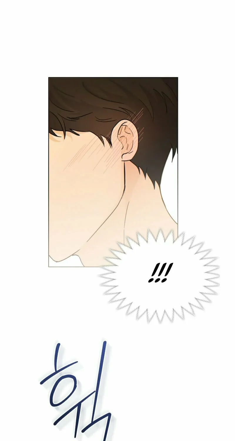 The tiger next door Chapter 2 page 10 - 