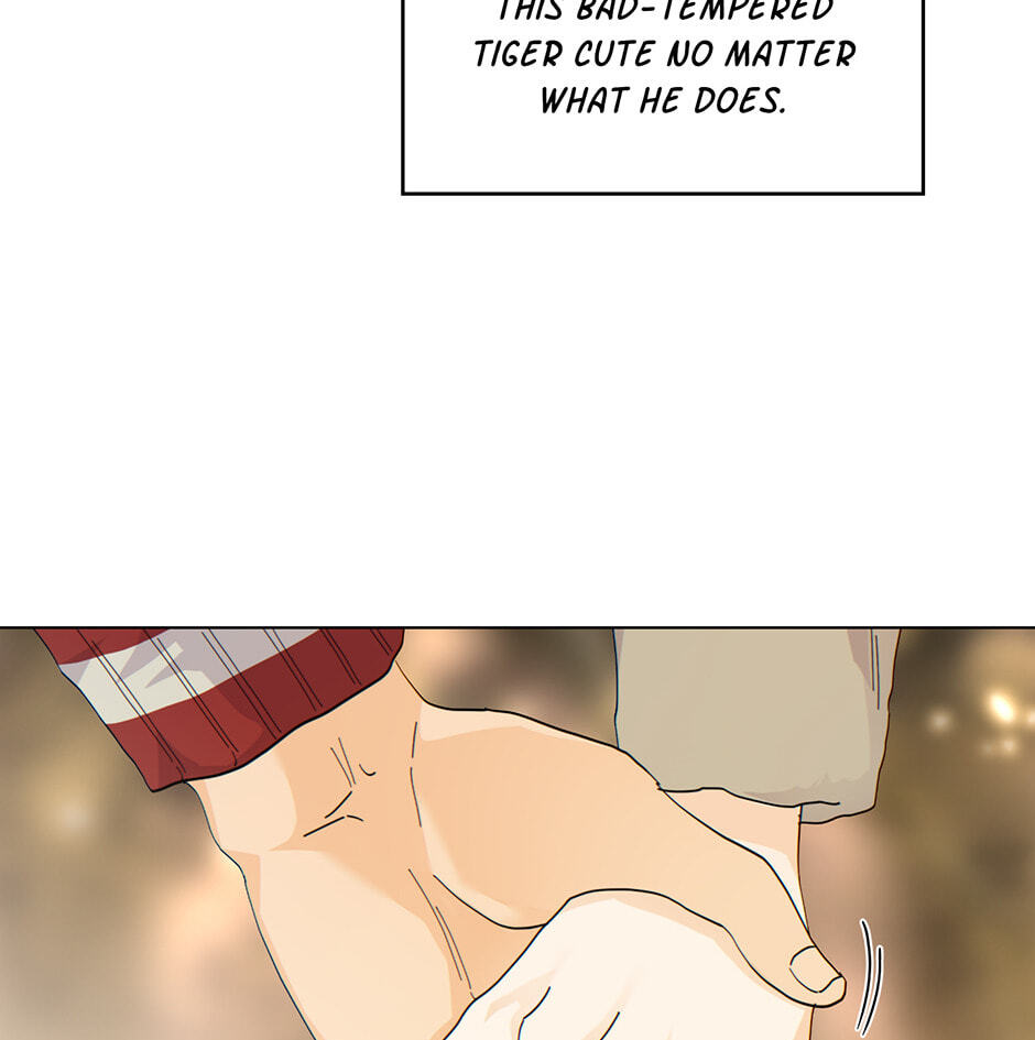 The tiger next door Chapter 26 page 68 - 