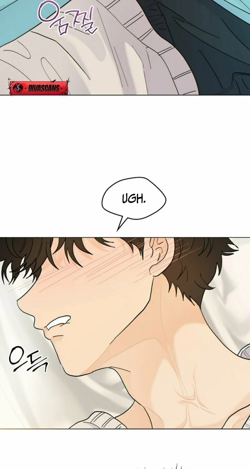 The tiger next door Chapter 3 page 42 - 