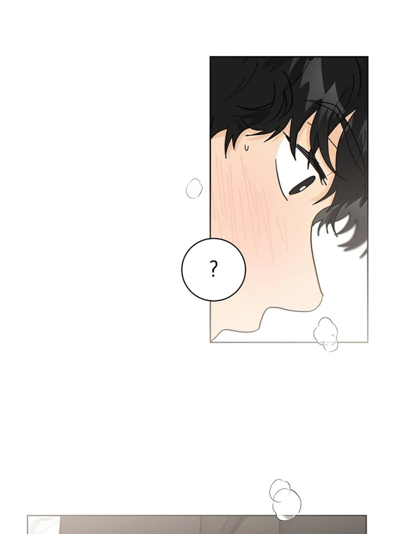 The tiger next door Chapter 35.1 page 42 - 