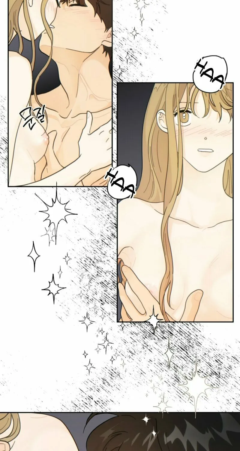 The tiger next door Chapter 4 page 17 - 
