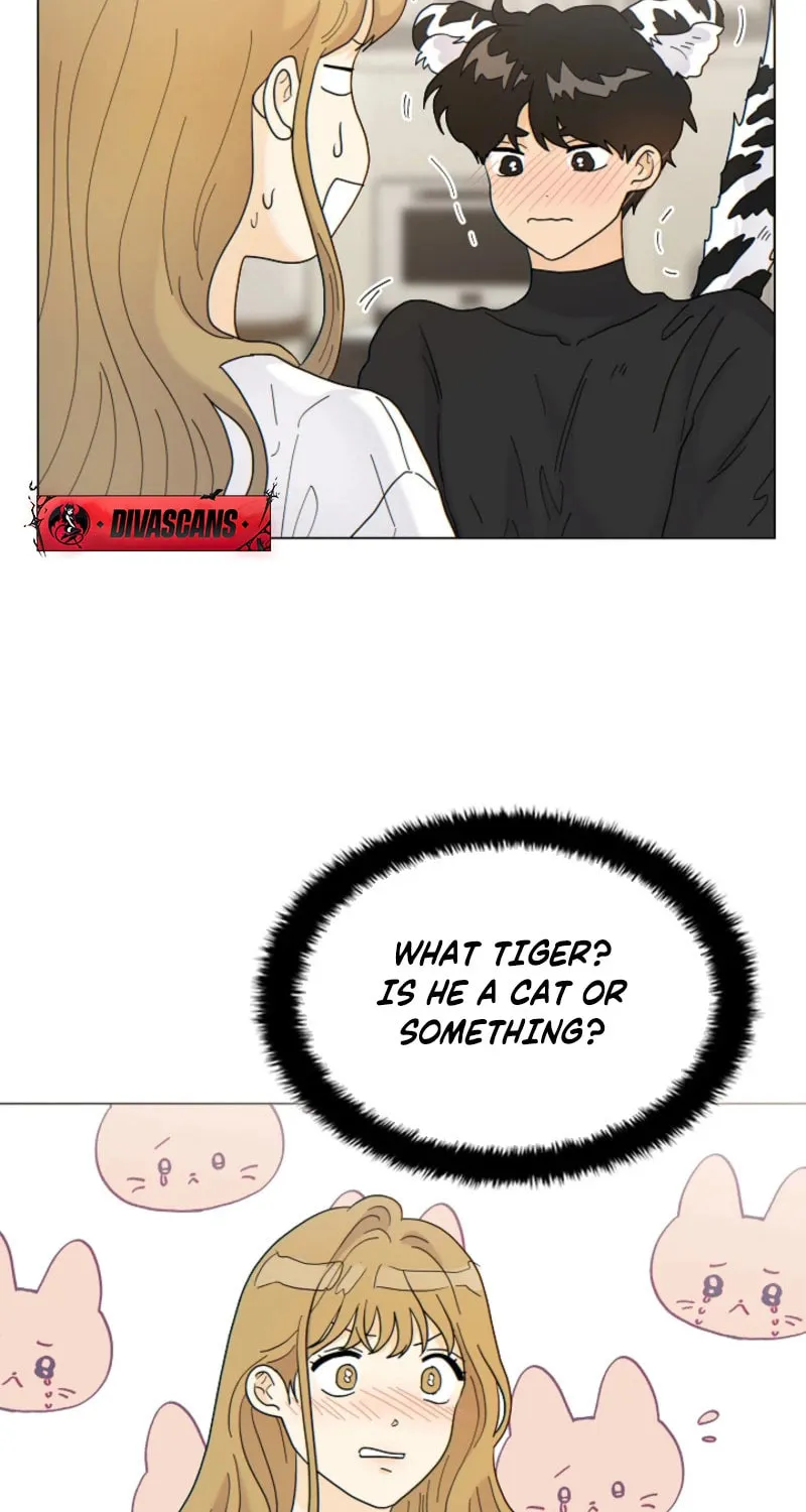 The tiger next door Chapter 7 page 13 - 