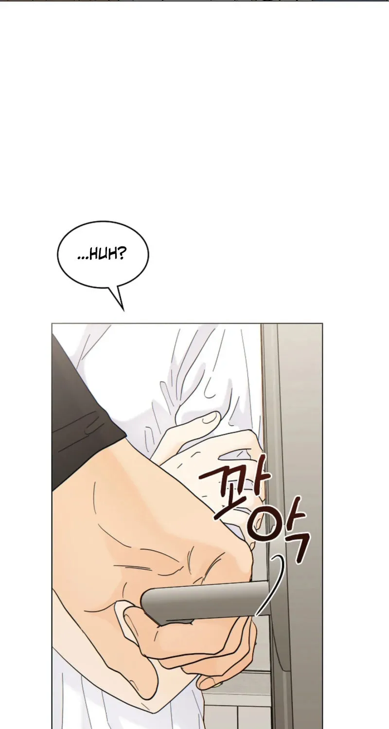 The tiger next door Chapter 7 page 41 - 