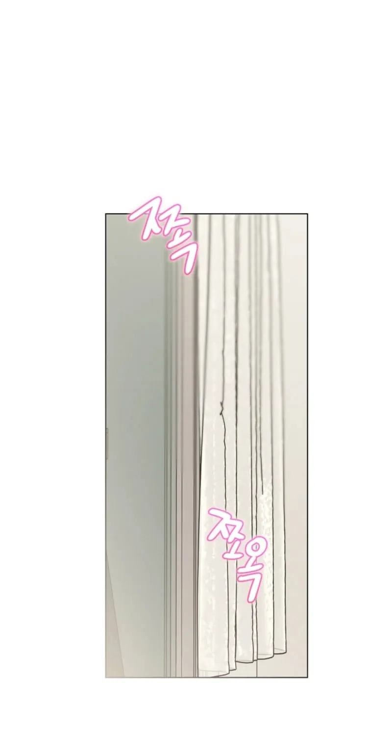 The tiger next door Chapter 8 page 20 - 