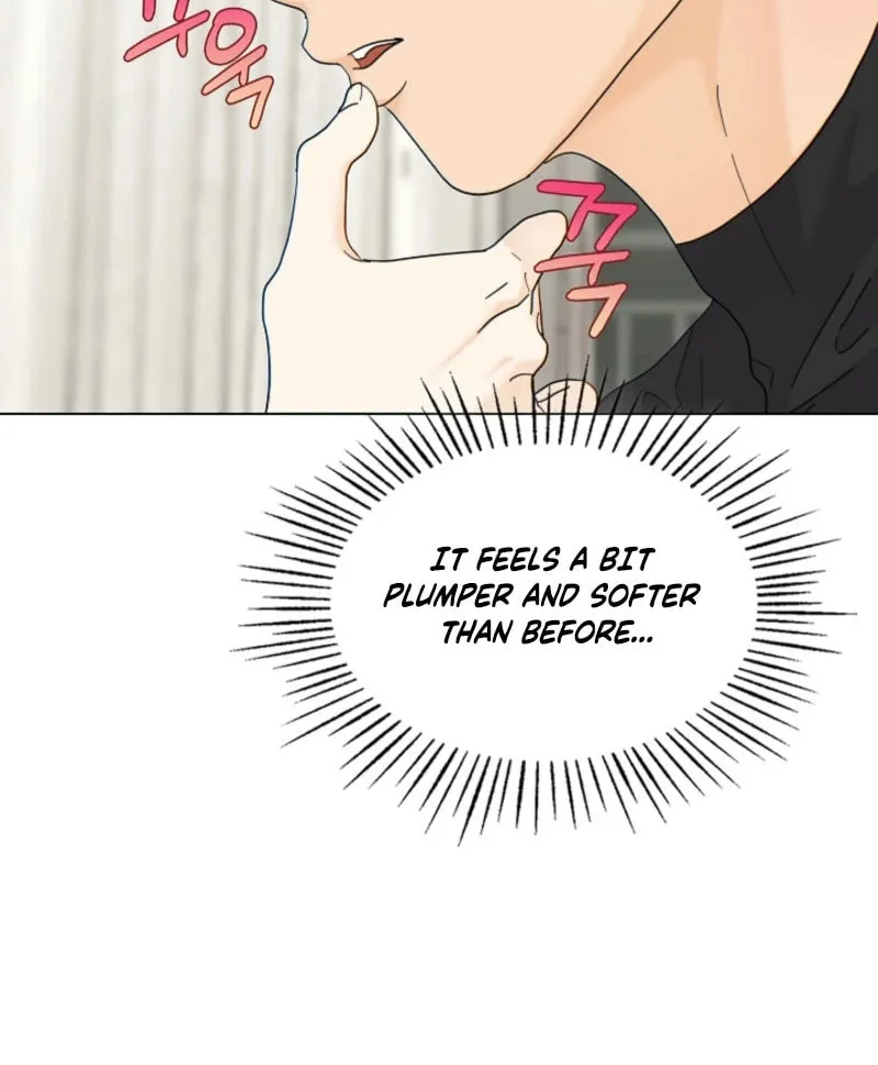 The tiger next door Chapter 8 page 9 - 