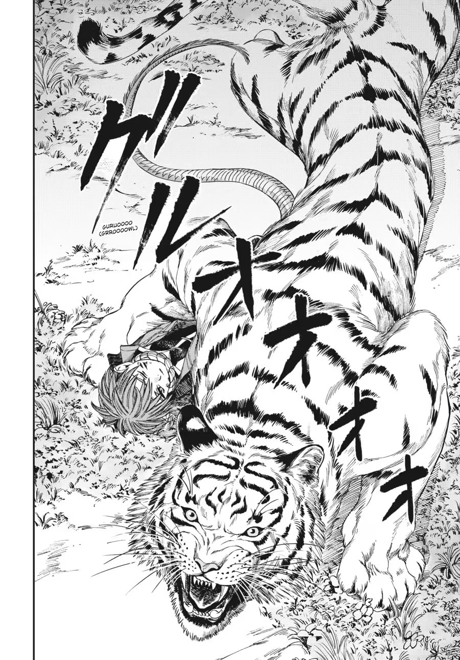 The Tiger Won