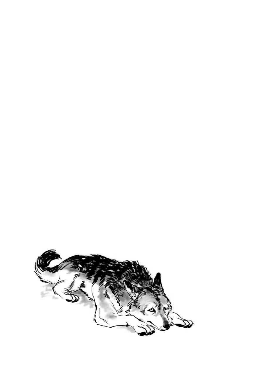 The Tiger Won
