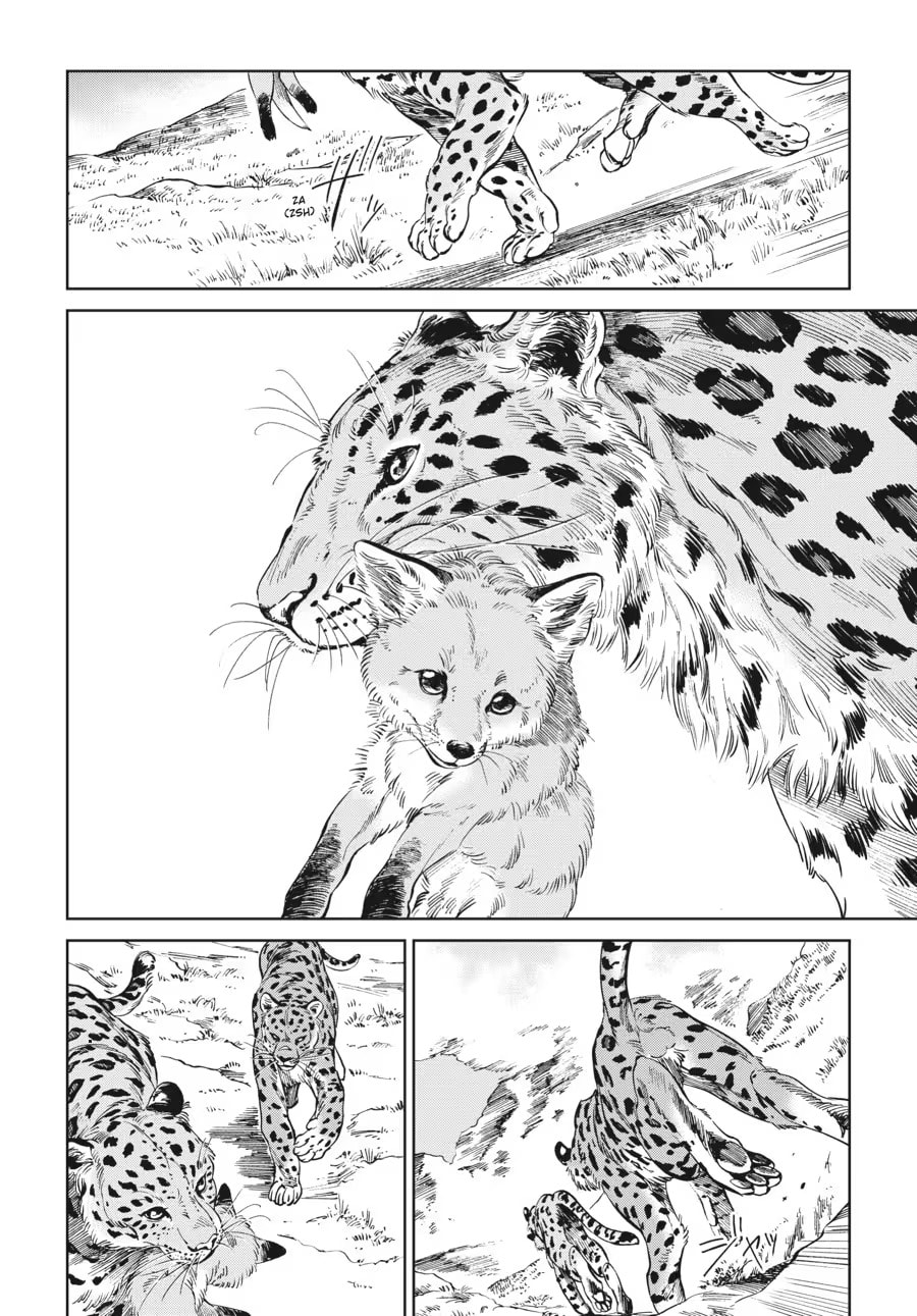 The Tiger Won