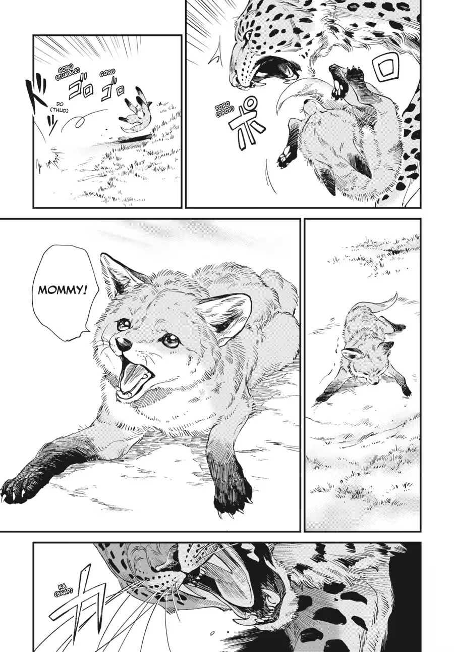 The Tiger Won