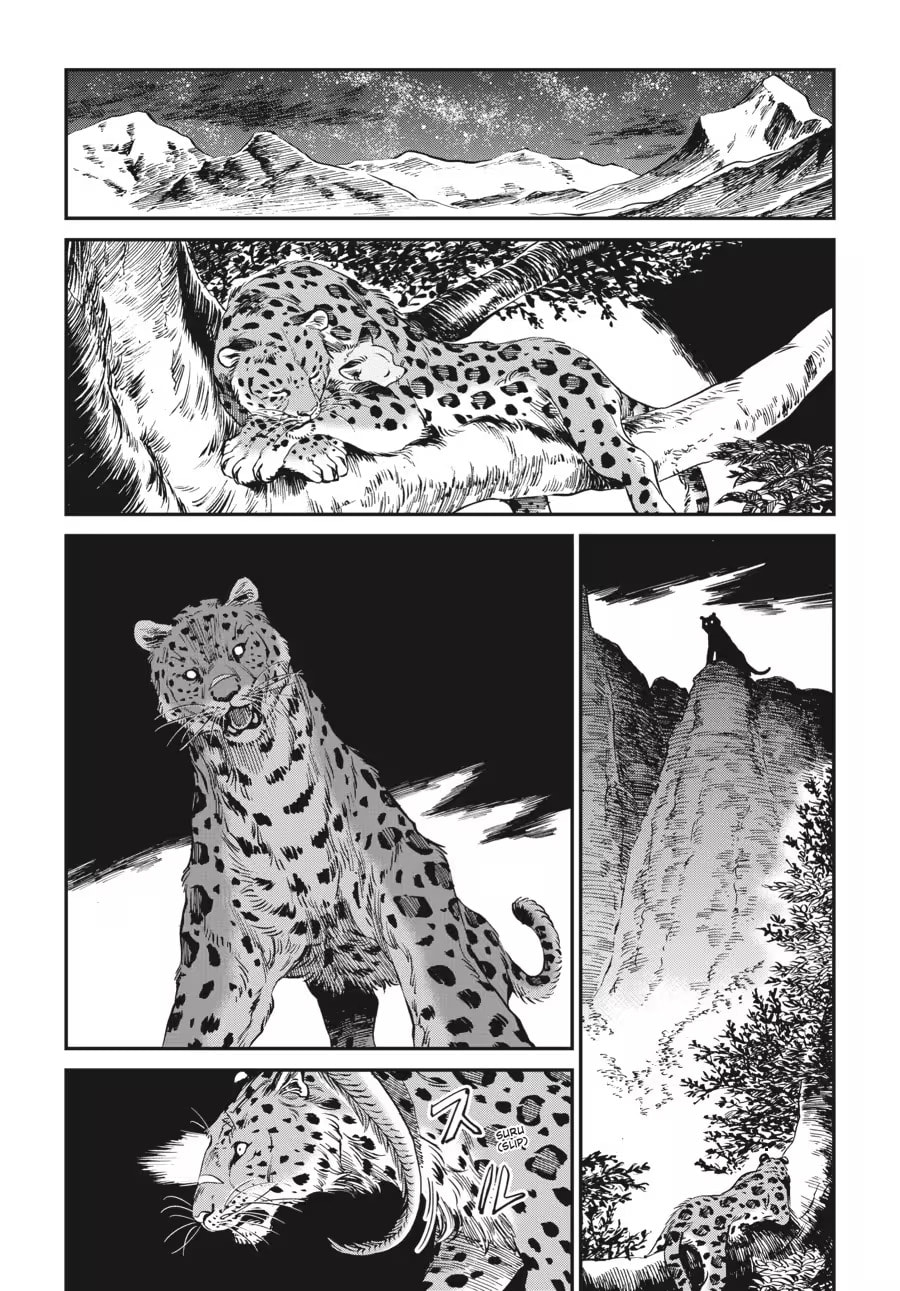 The Tiger Won