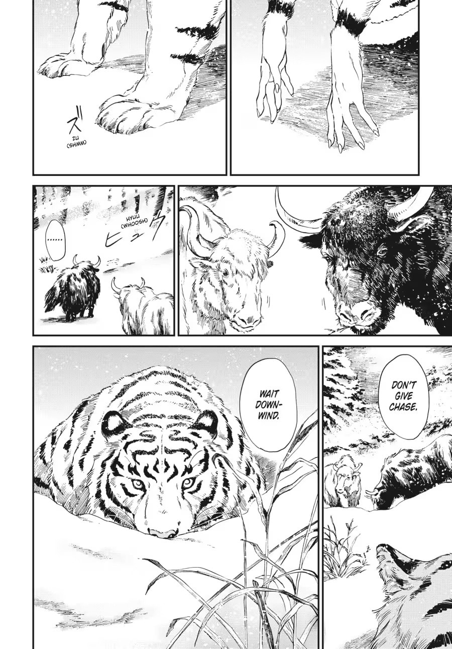 The Tiger Won