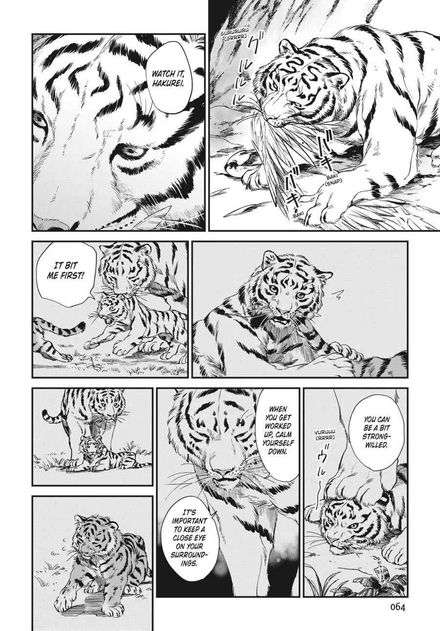 The Tiger Won