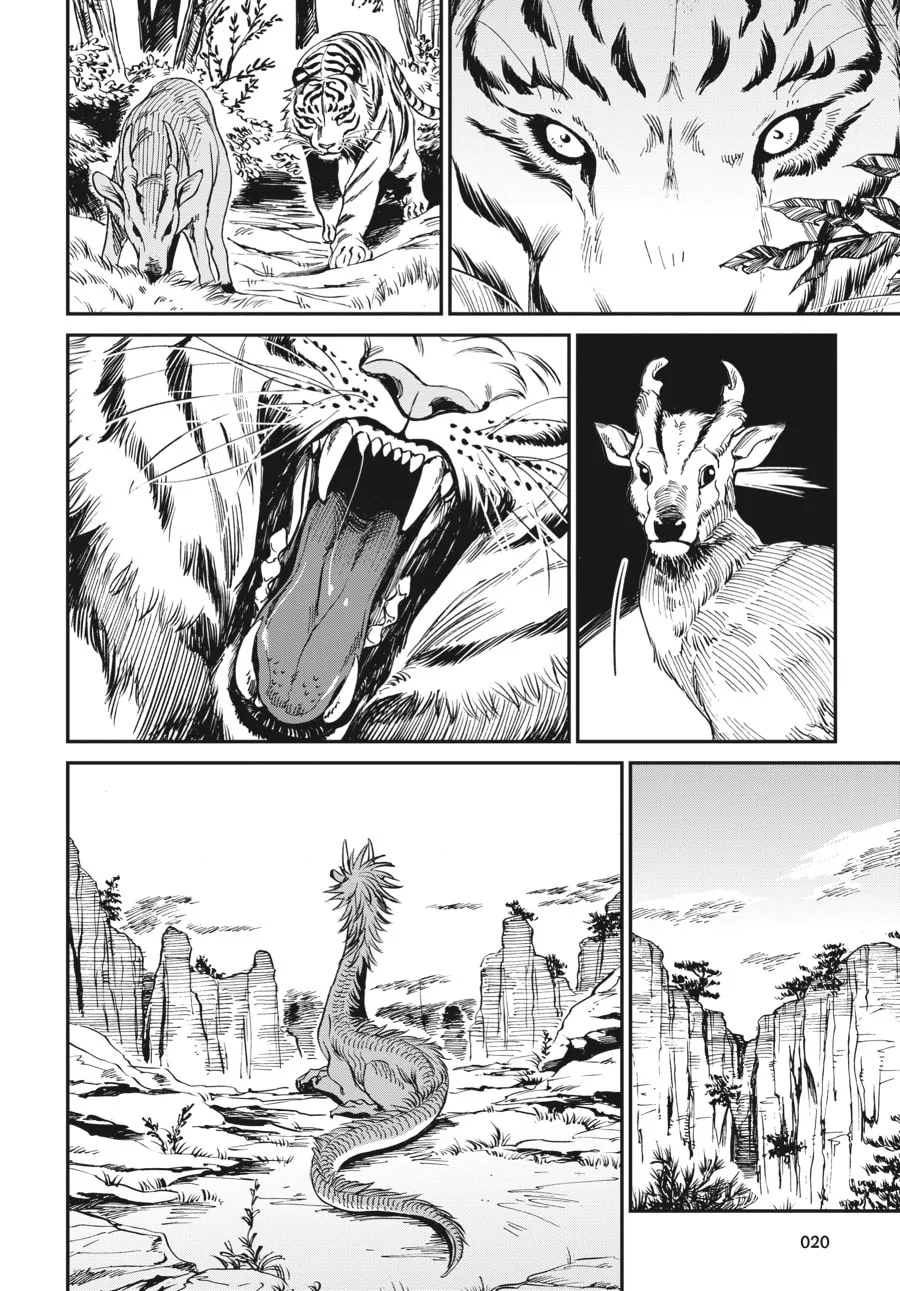 The Tiger Won