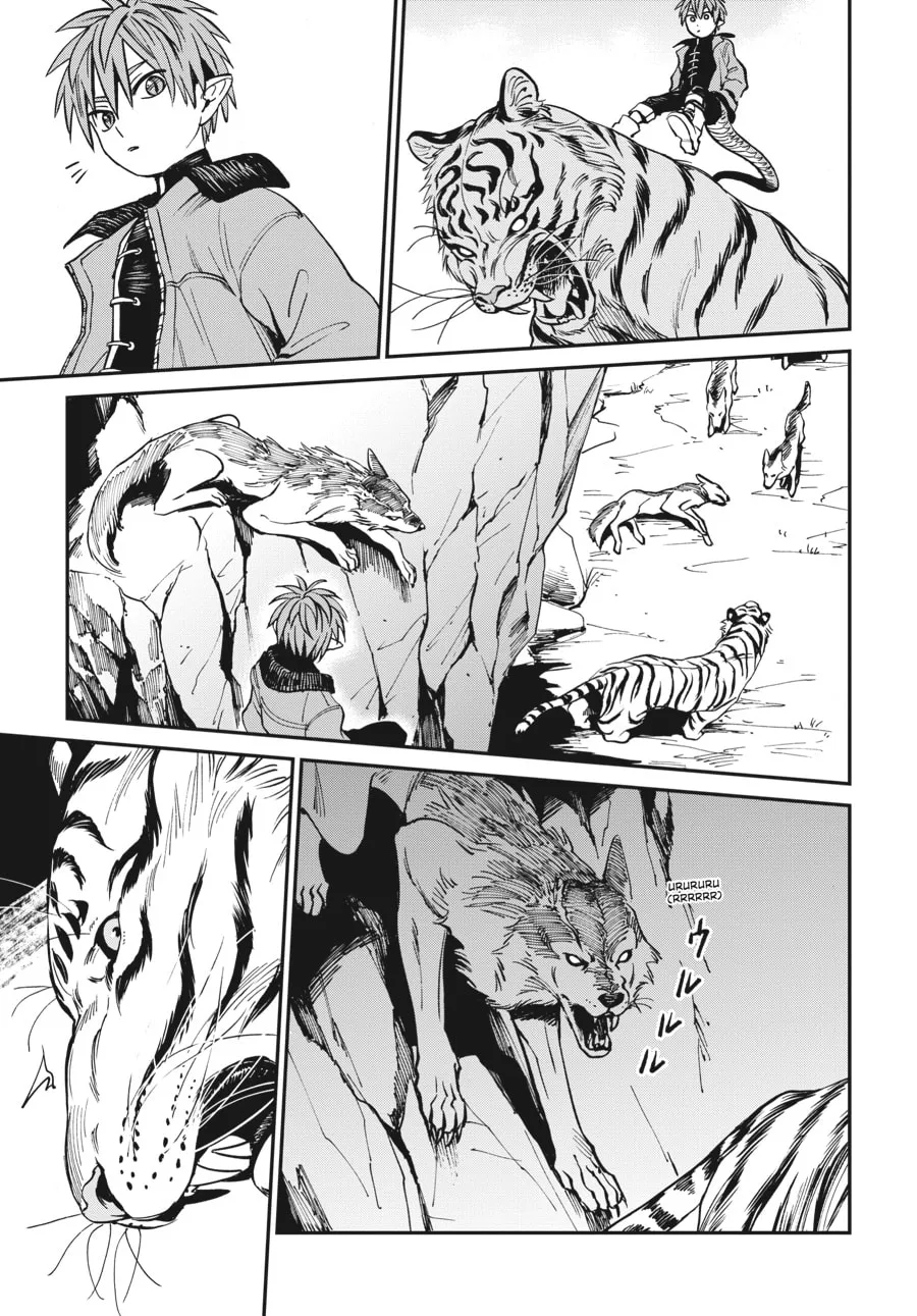 The Tiger Won