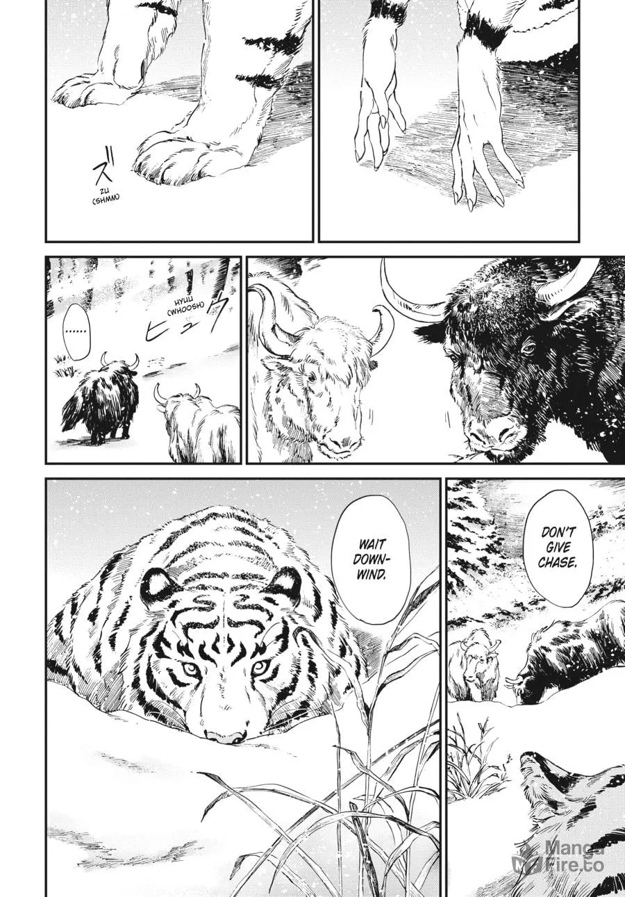 The Tiger Won