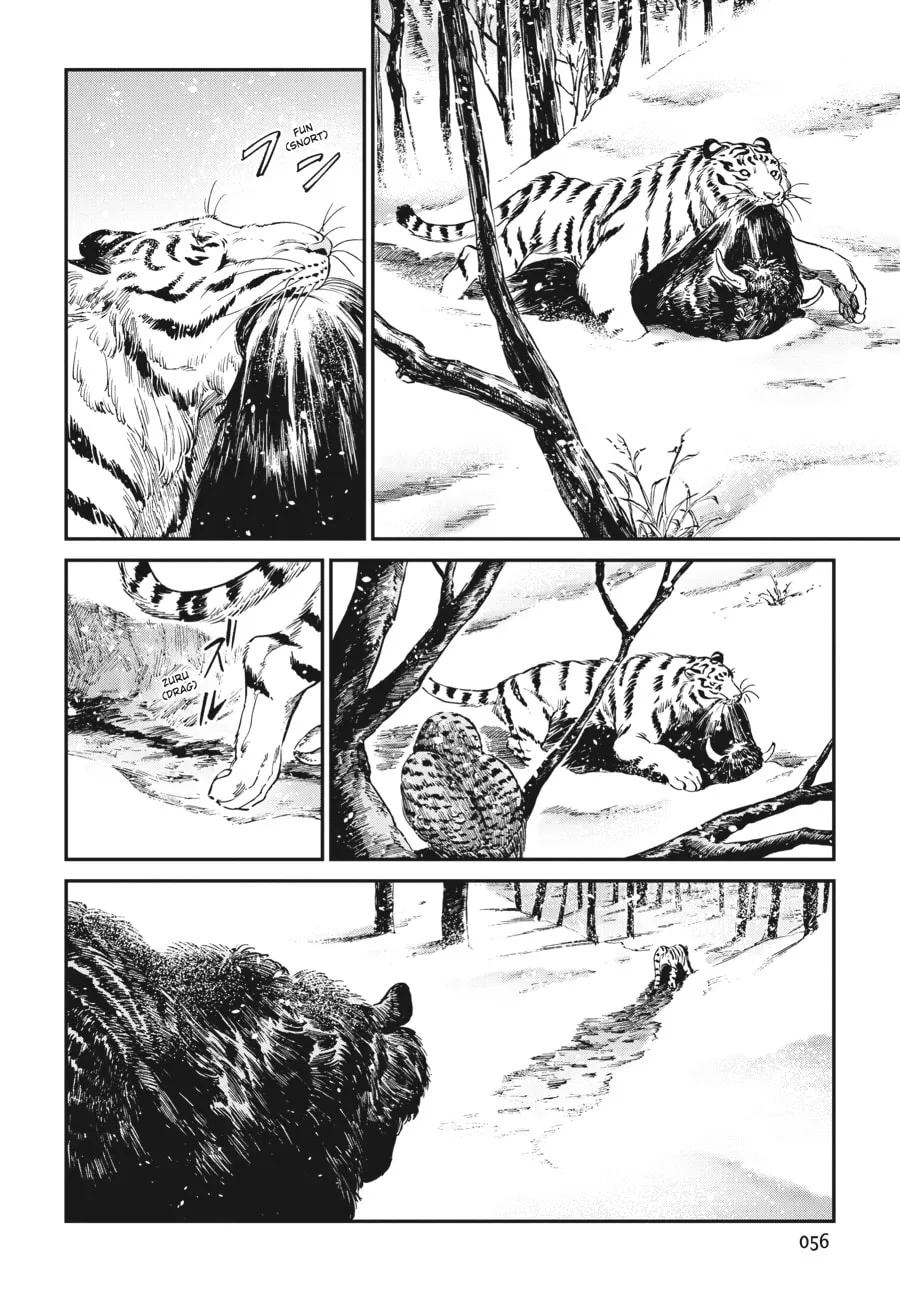 The Tiger Won