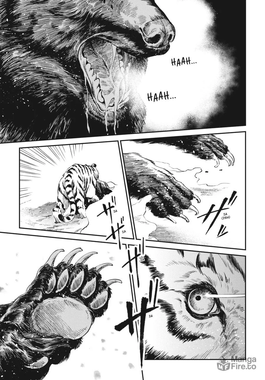 The Tiger Won