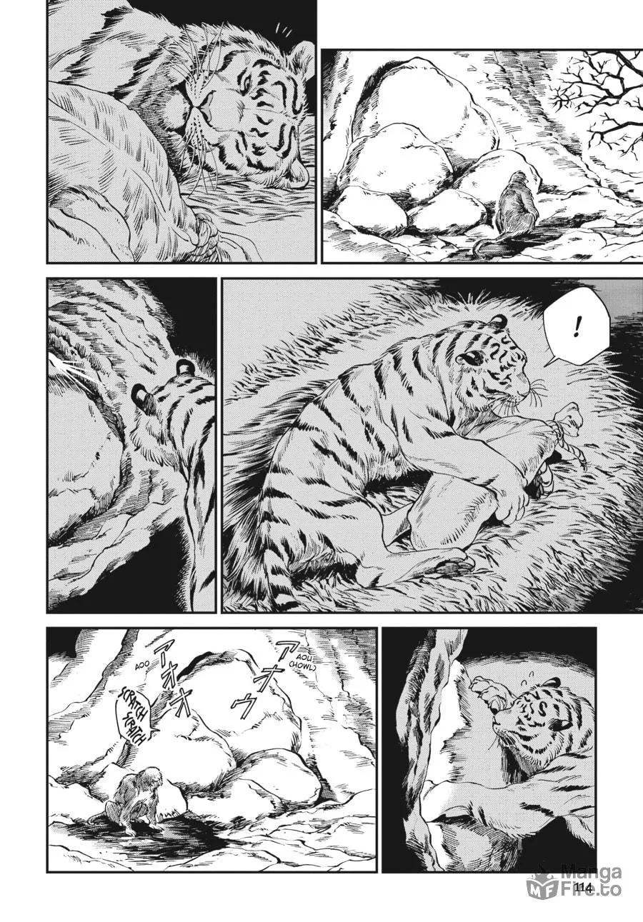 The Tiger Won
