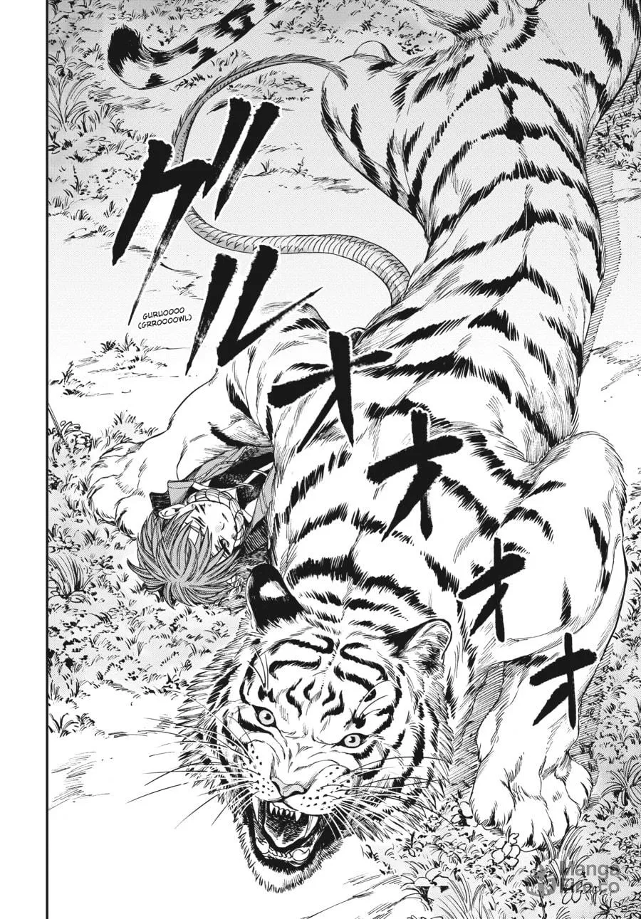 The Tiger Won