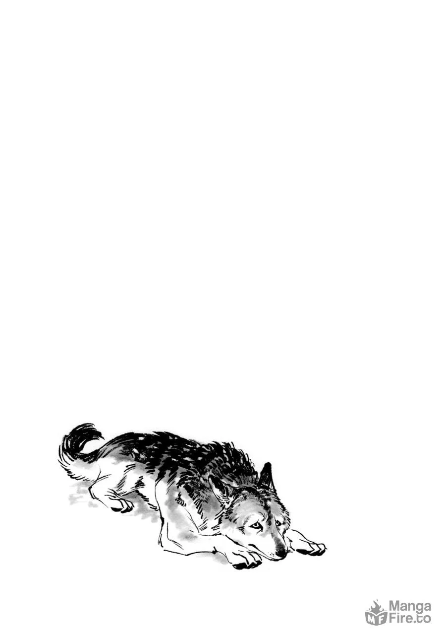 The Tiger Won