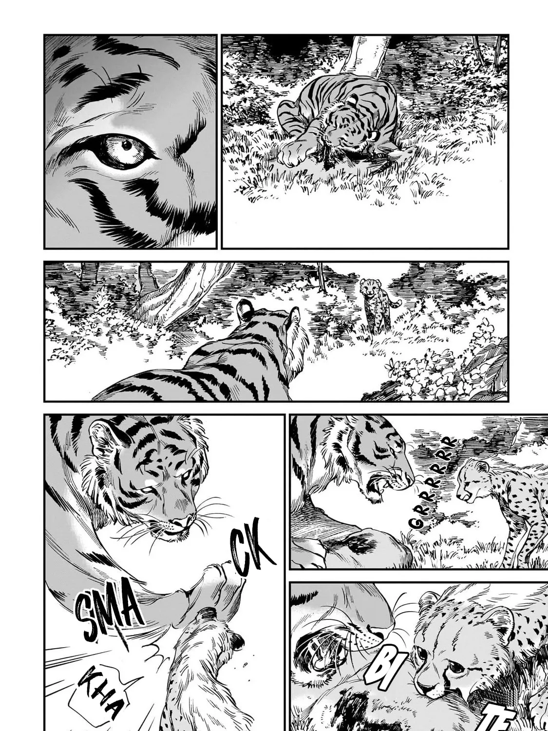 The Tiger Won