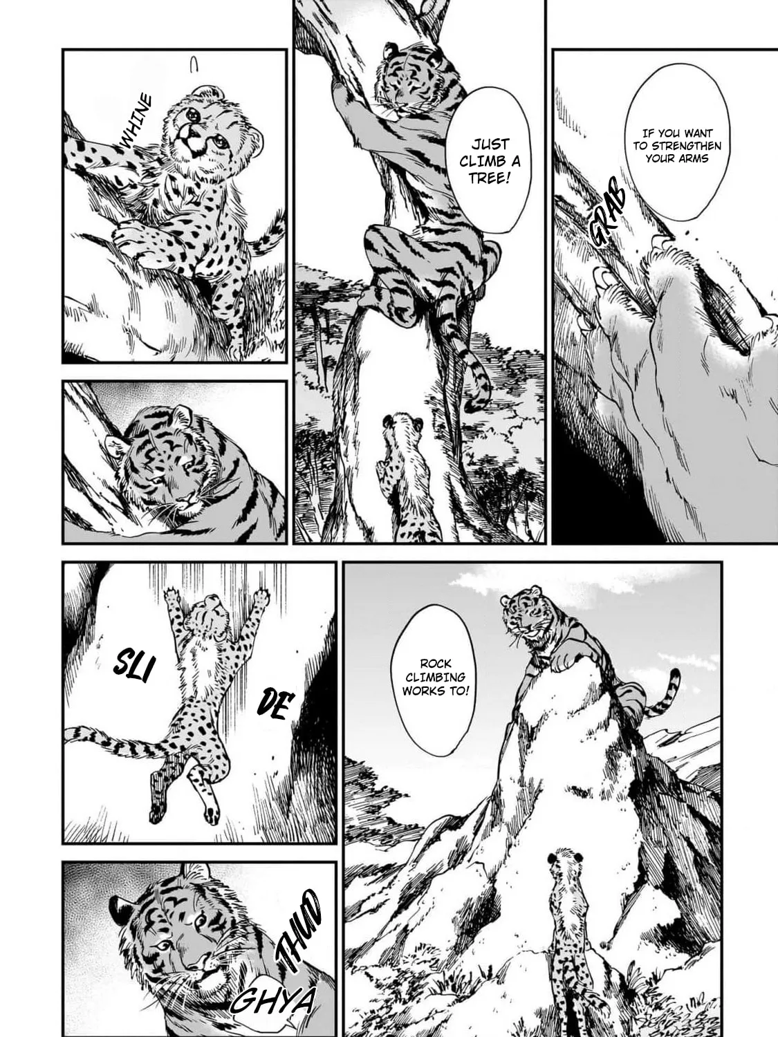 The Tiger Won