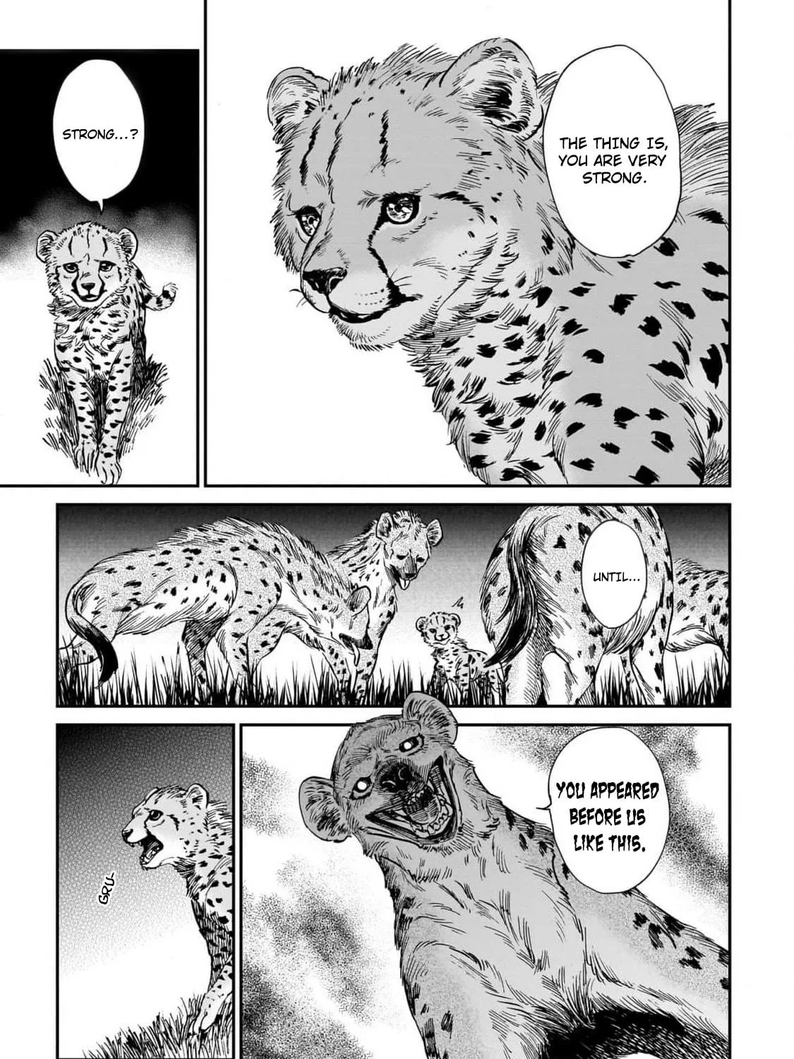 The Tiger Won