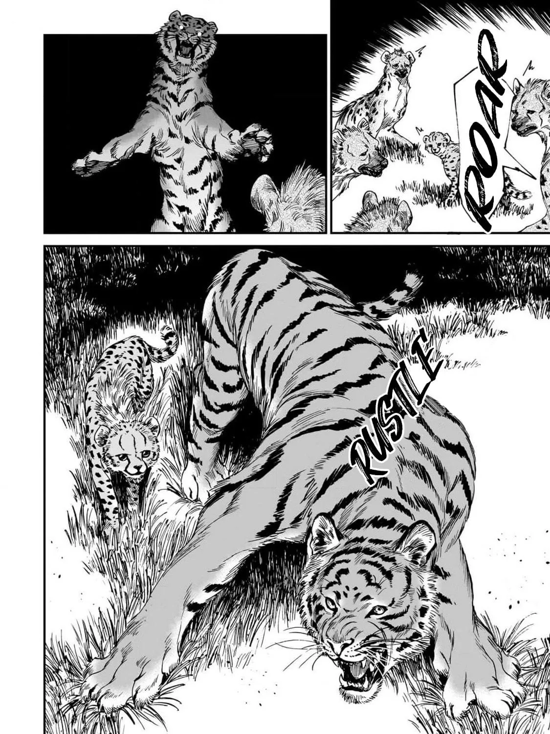 The Tiger Won