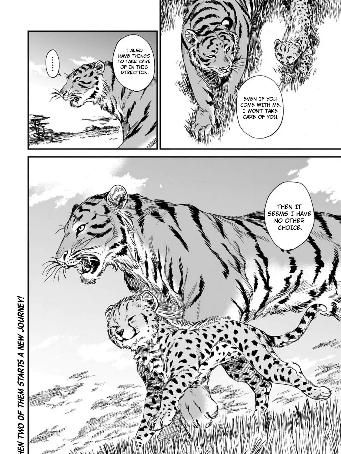 The Tiger Won