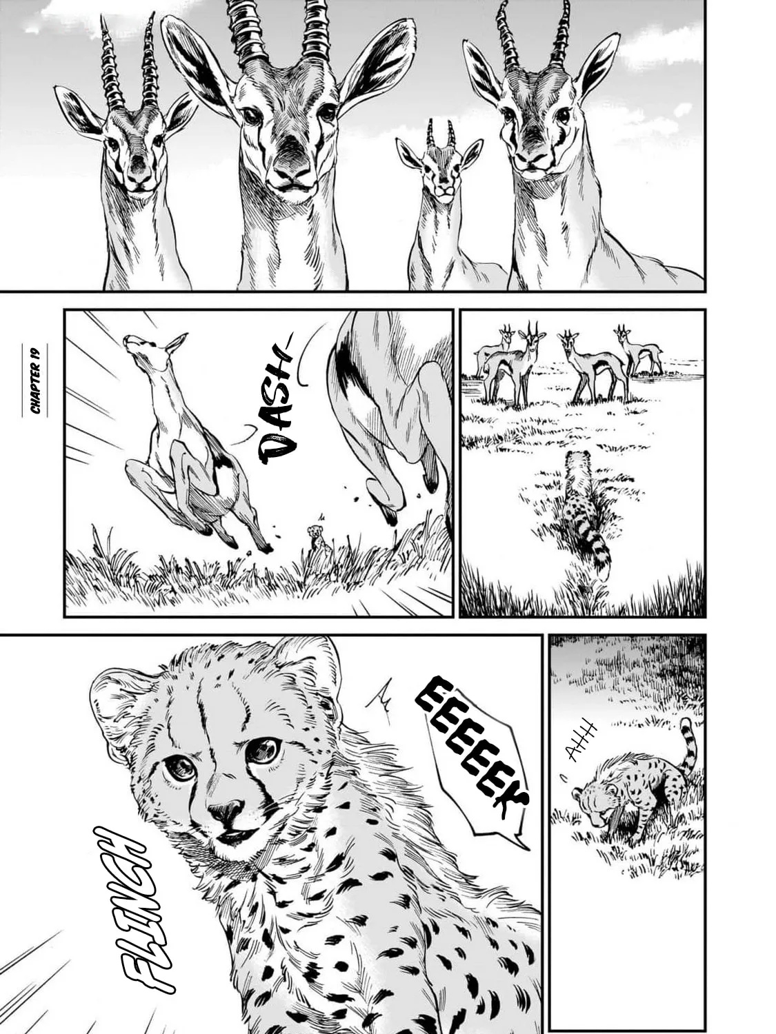 The Tiger Won