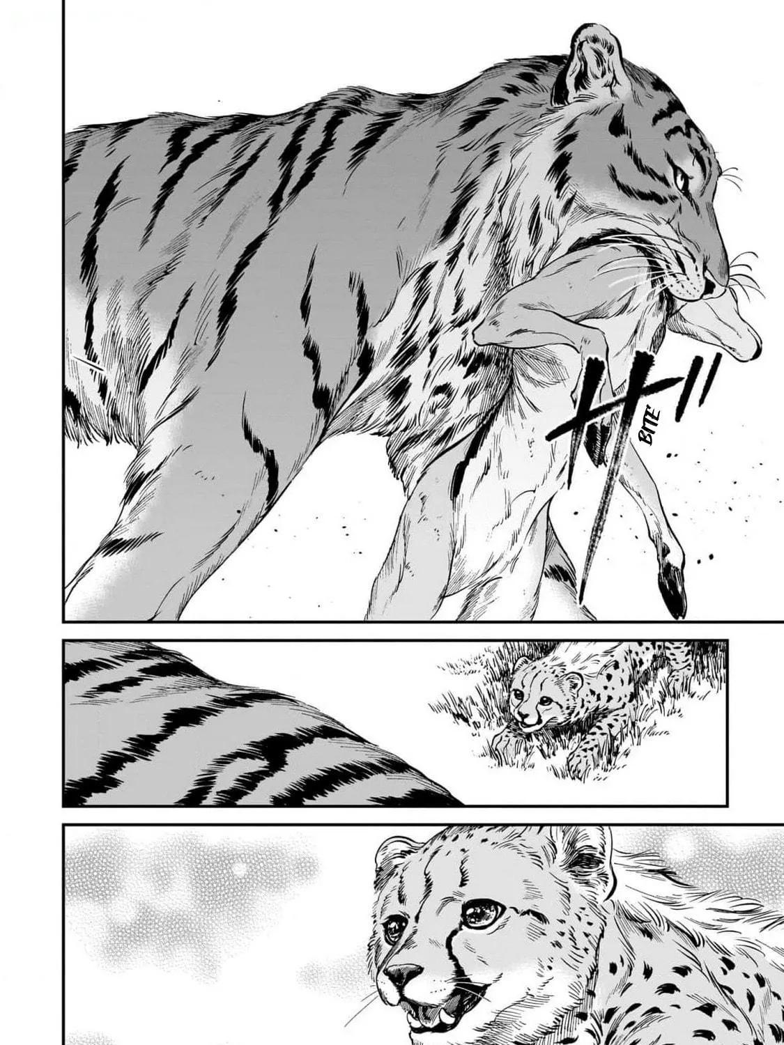 The Tiger Won