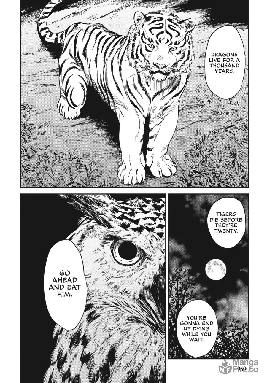 The Tiger Won
