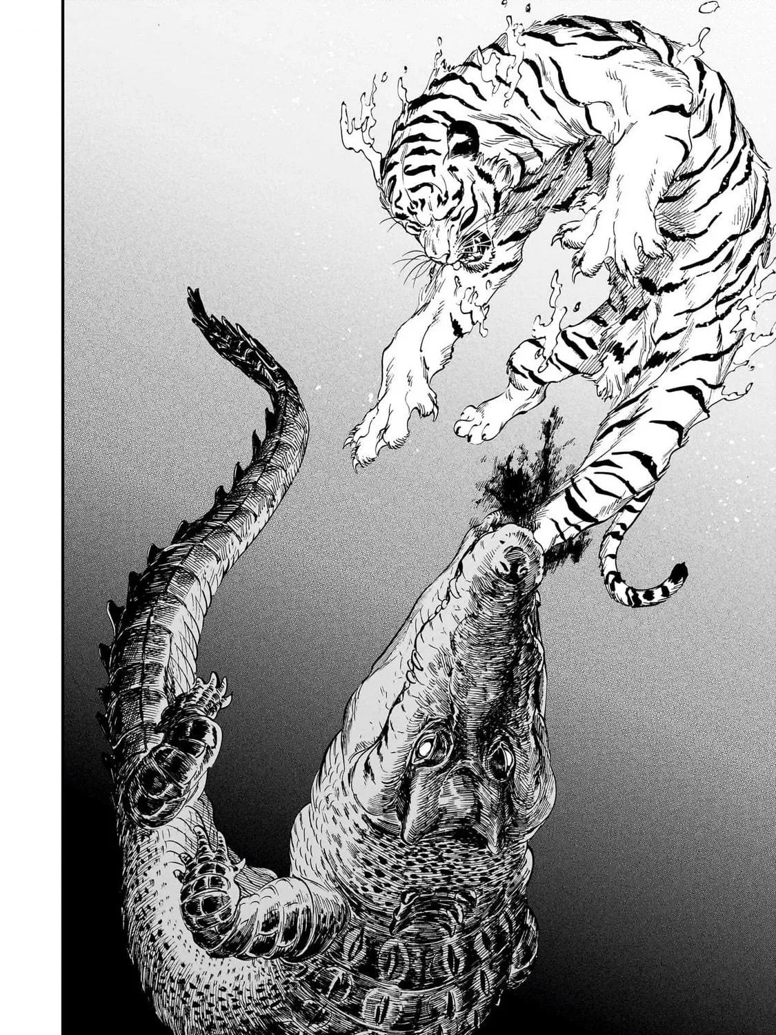 The Tiger Won