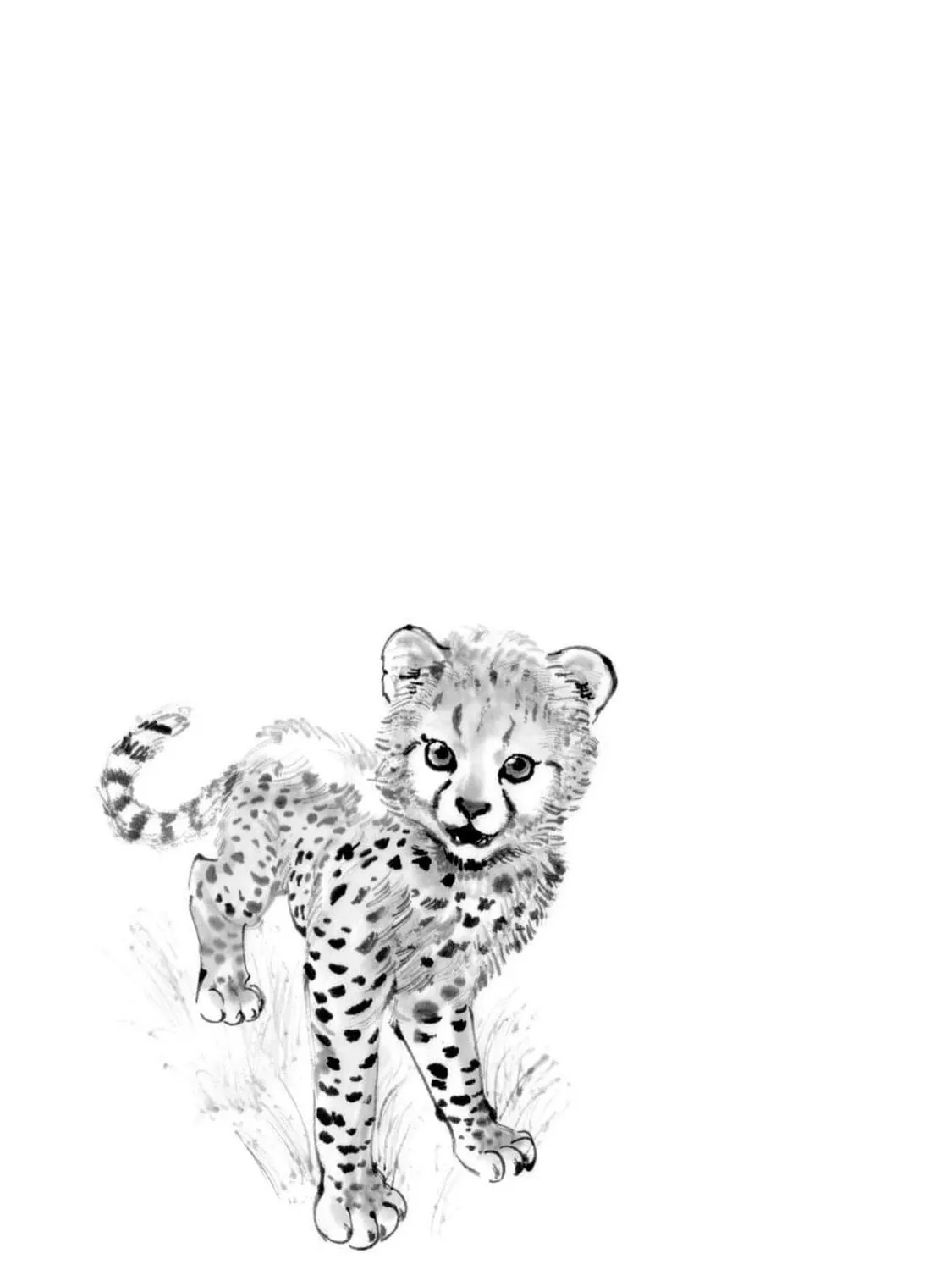 The Tiger Won