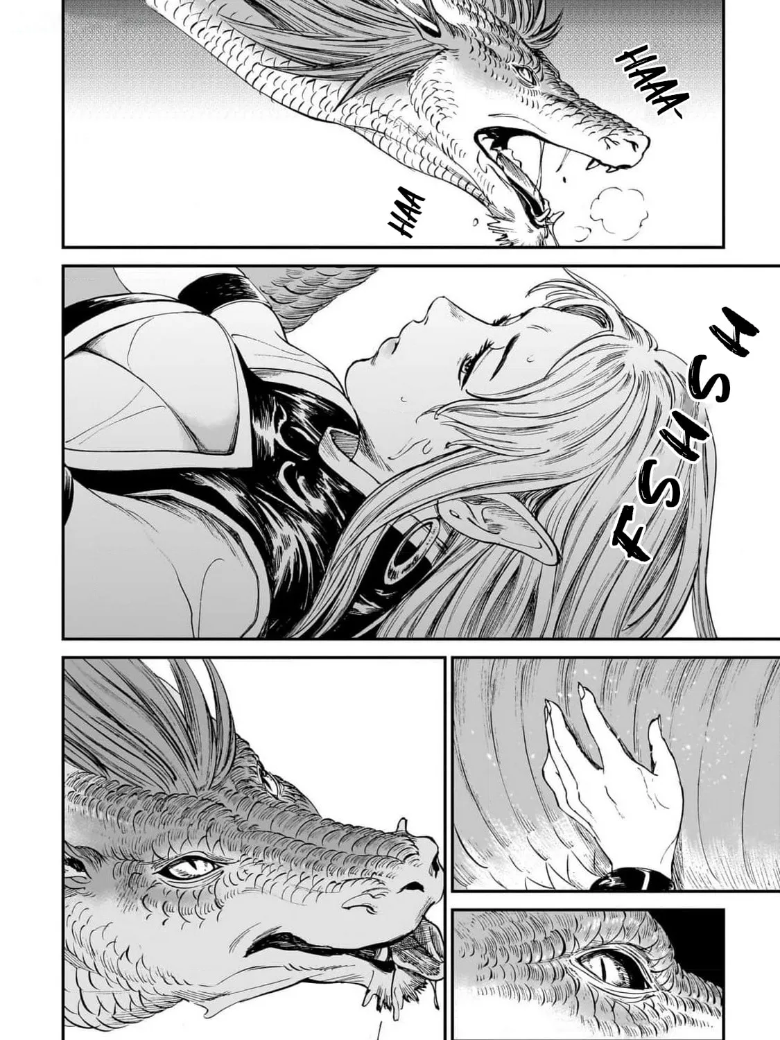 The Tiger Won