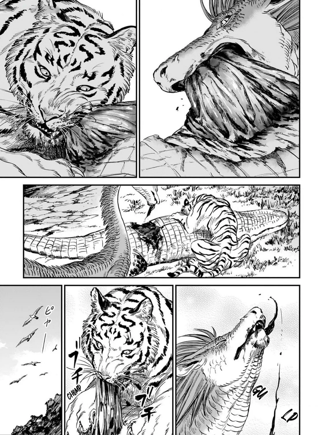 The Tiger Won