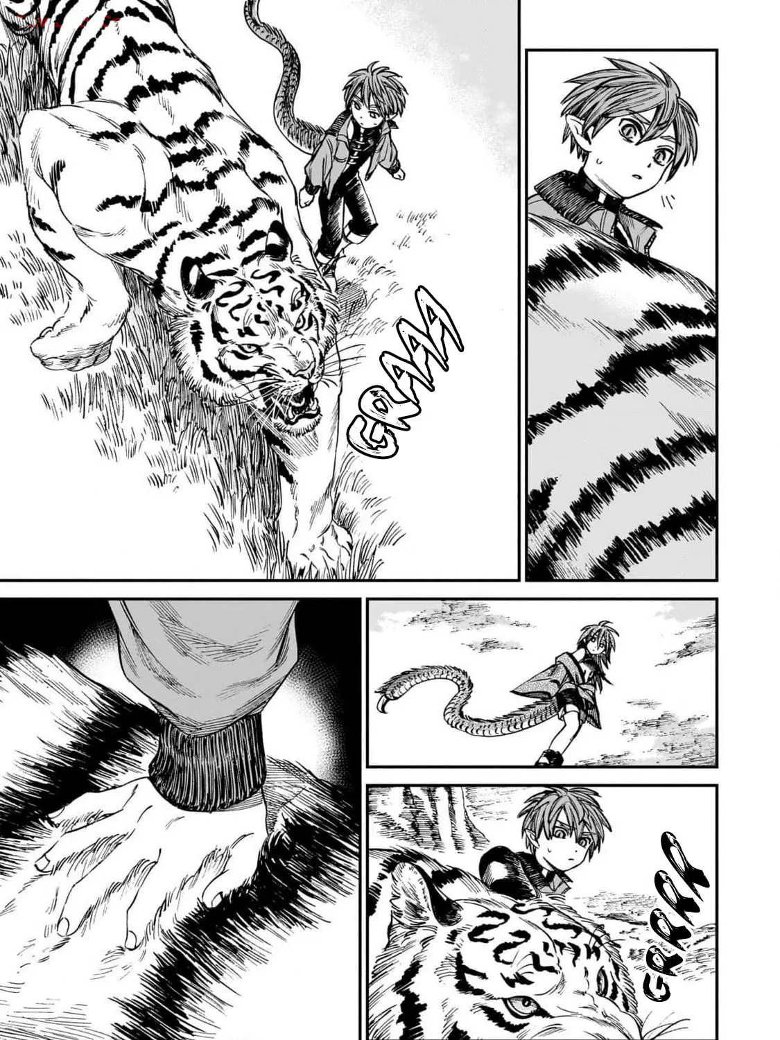 The Tiger Won