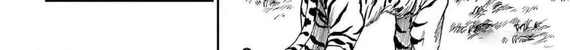 The Tiger Won
