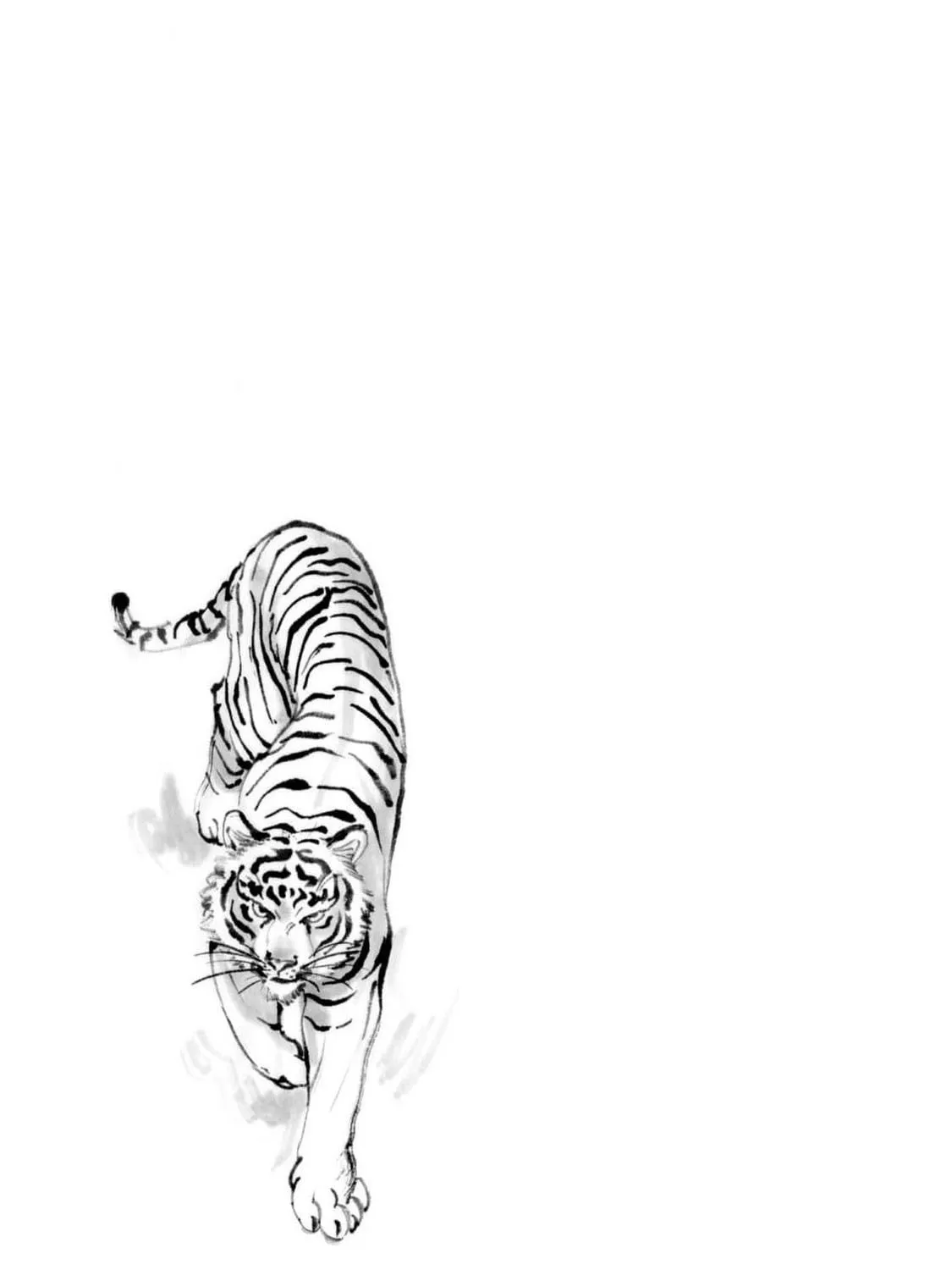 The Tiger Won