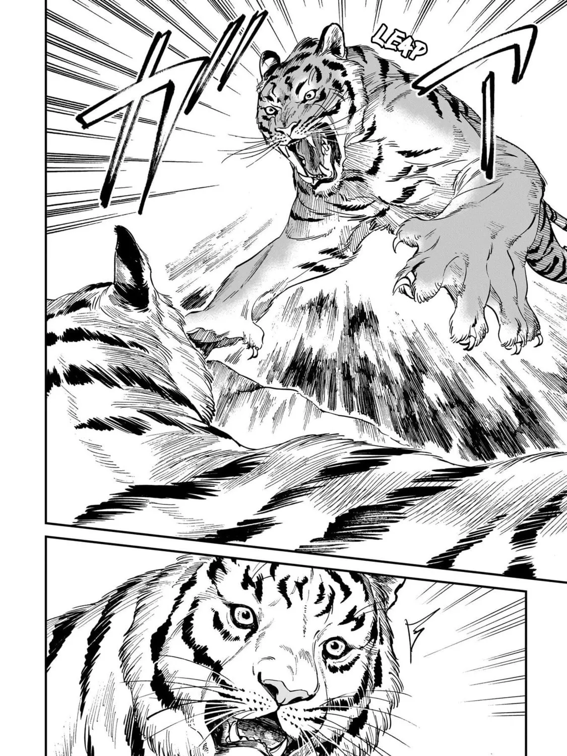 The Tiger Won