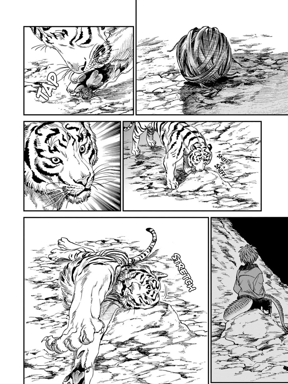 The Tiger Won