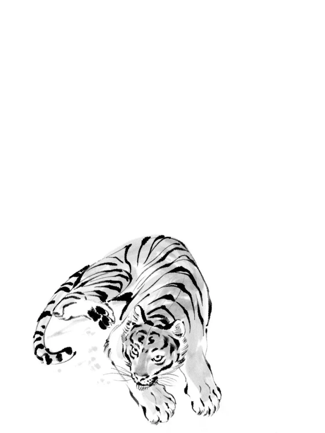 The Tiger Won