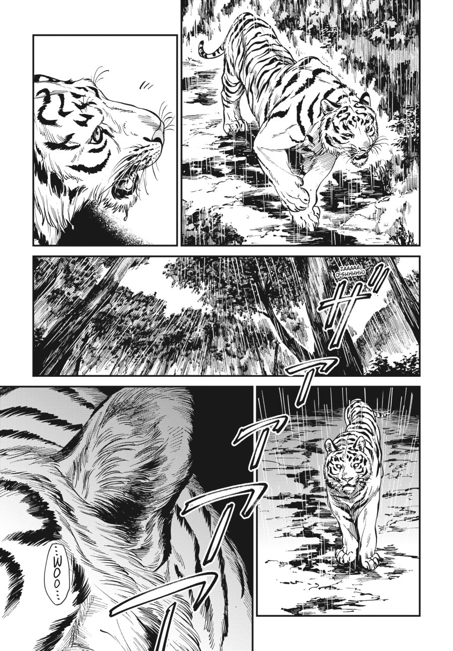 The Tiger Won