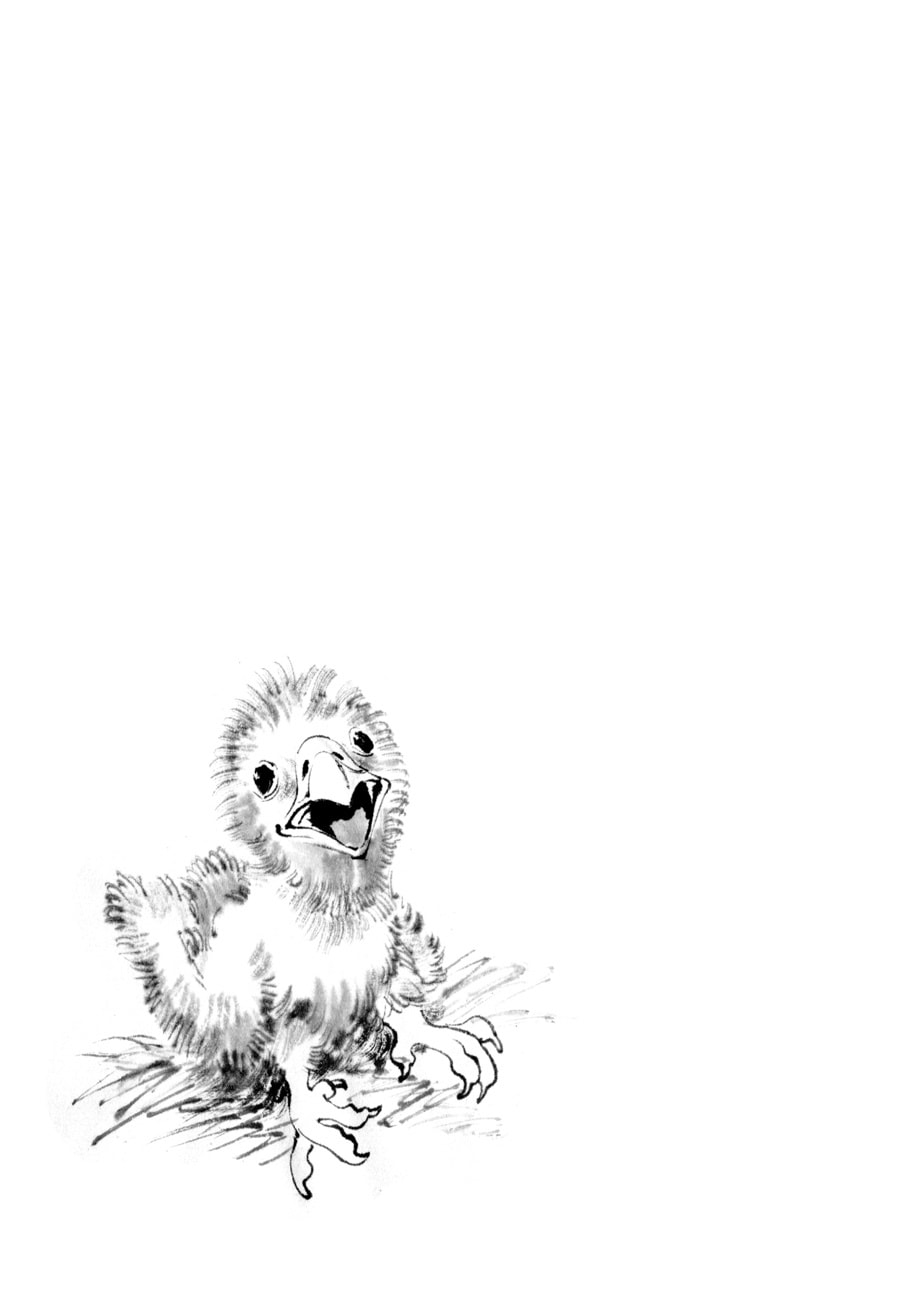 The Tiger Won