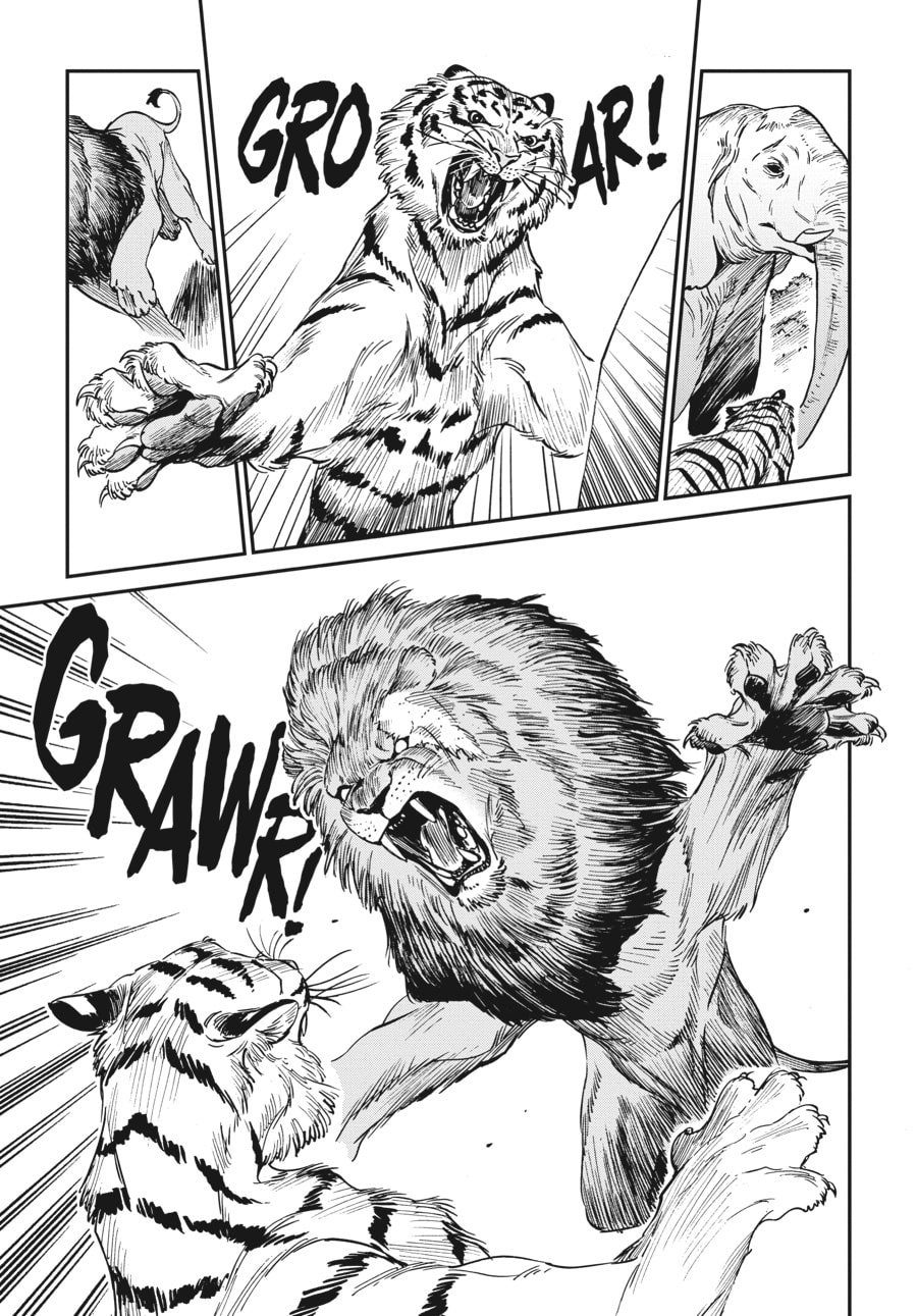 The Tiger Won